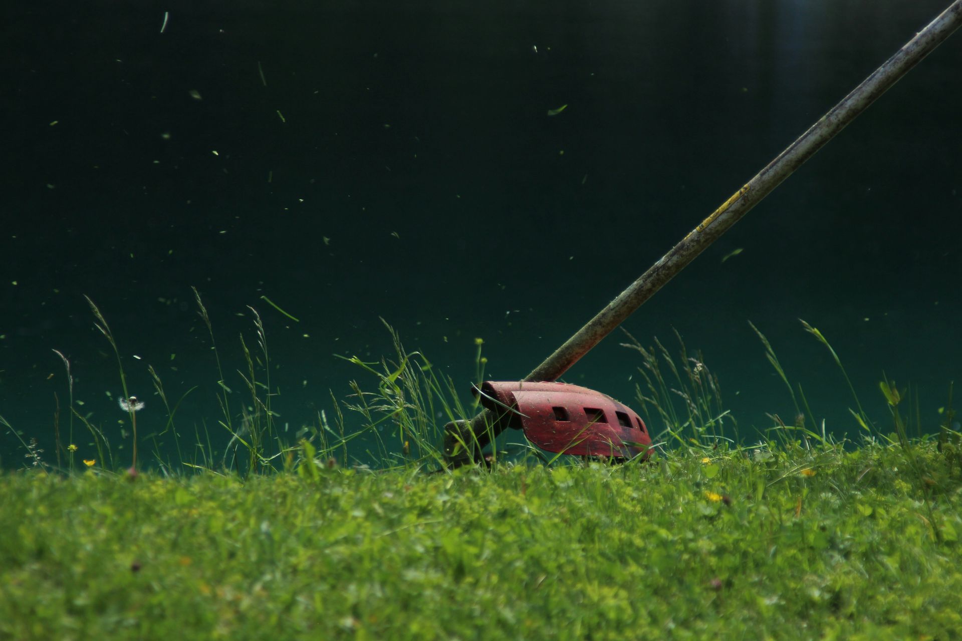 brown and black animal plush toy on green grass