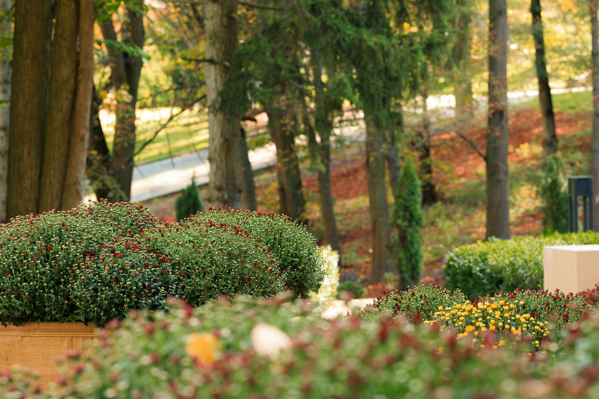 A woman sitting on a bench in a park